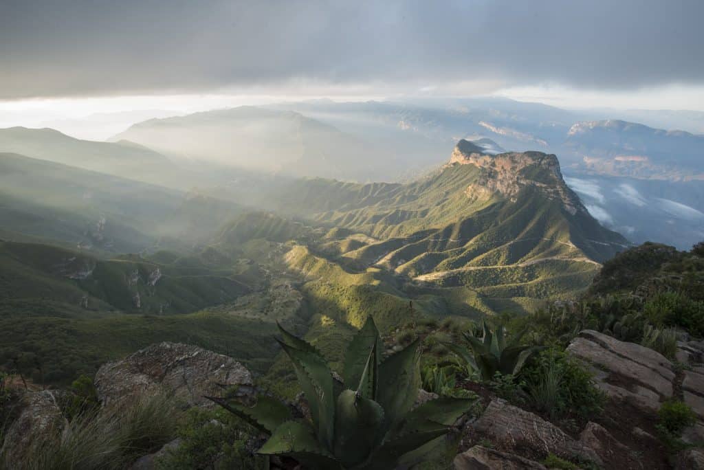 How creativehub supports the World Land Trust!
